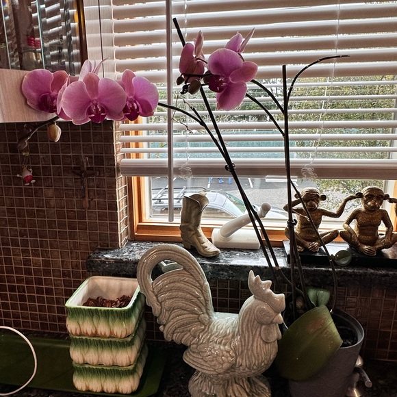 Item live show for fun - Picture 3 of 6